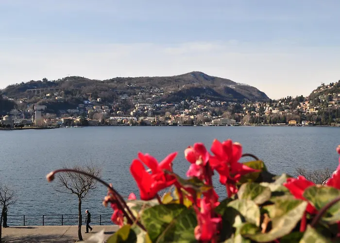 فندق ماركوس